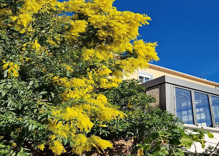 La Petite Boheme Отель 3*